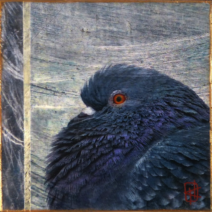 Cold Pigeon Cold Pigeon
